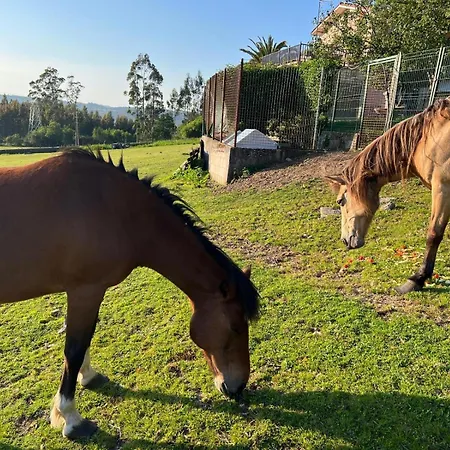 Casa Camino Do Eume A Coruña