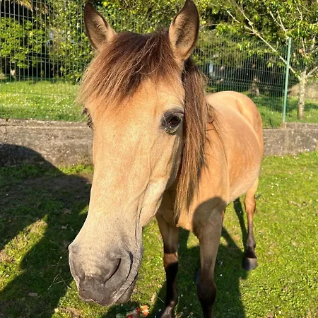 Casa Camino Do Eume