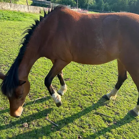 Séjour à la campagne Casa Camino Do Eume La Corogne