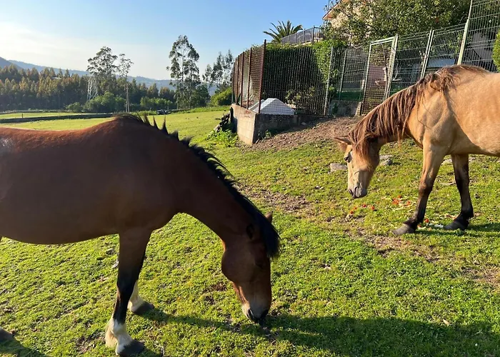 Casa Camino Do Eume A Coruña