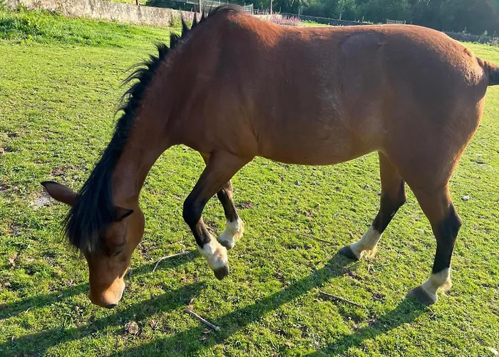 Landsted Casa Camino Do Eume A Coruña
