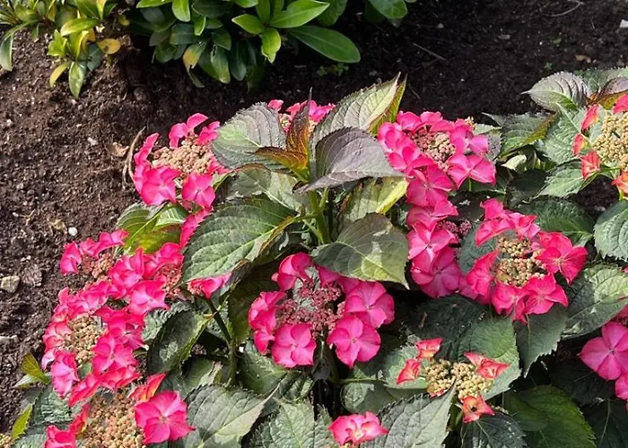 Landsted Casa Camino Do Eume